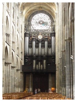 organ